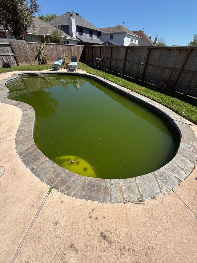 Before: a kidney-shaped pool full of swamp-green water