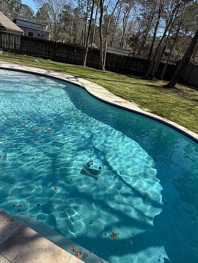 Before: freeform pool with leaves scattered across the floor and tall trees behind the back fence