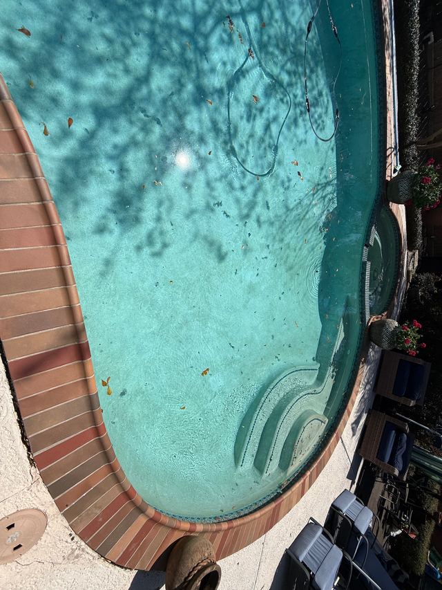 Before: looking down at curved entry steps with brick coping, leaves on the pool floor and tree shadows on the water