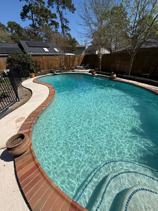 After: the same curved pool with the leaves gone and clear water